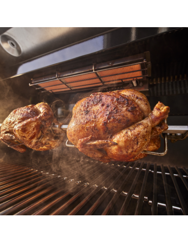 WEBER SUMMIT FS38X S