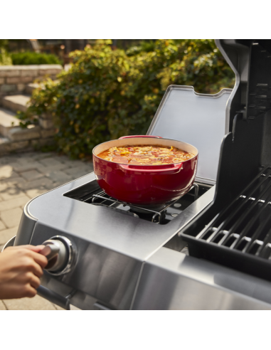 WEBER SUMMIT FS38X S