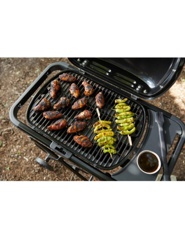 WEBER TRAVELER COMPACT + OMAGGIO...