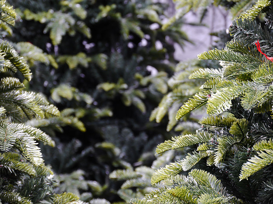 Albero di Natale, artificiale in verde, con dettagli, dall'aspetto  naturale, sostegno in metallo incluso, con cappucci in plastica acquistare  online a buon mercato